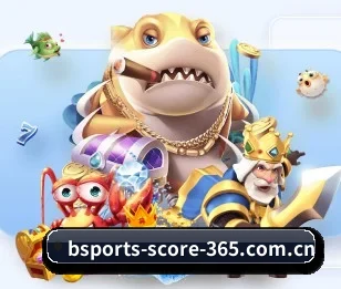 全面认识bsport的服务与理念 - 体育资讯内容服务