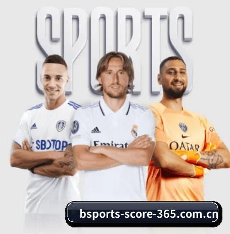 全面认识bsport的服务与理念 - 体育资讯内容服务